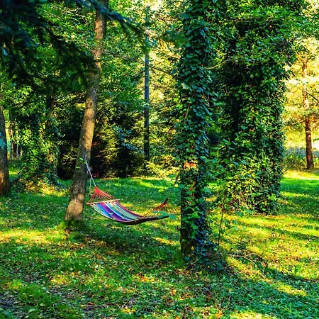 מלון דירות Wiejski Raj Chocieszow