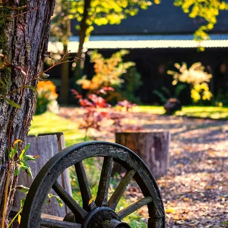 Wiejski Raj Chocieszow