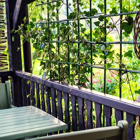 Wiejski Raj Chocieszow