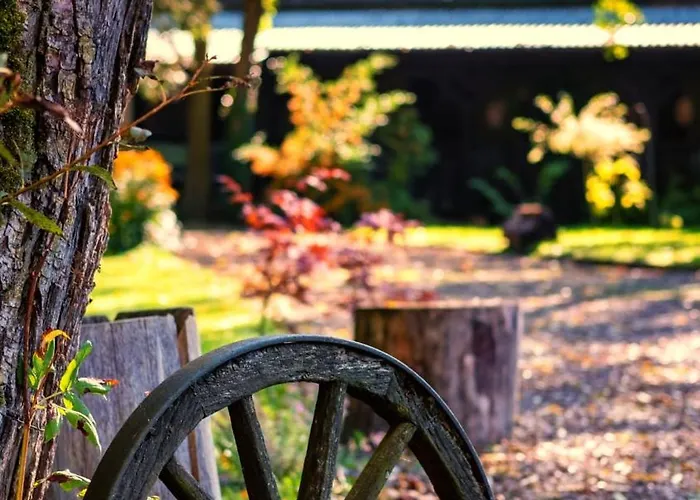 Wiejski Raj - Chocieszow